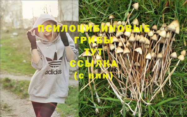 бутират Баксан