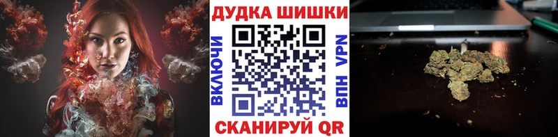 что такое наркотик  Вязники  Конопля сатива 